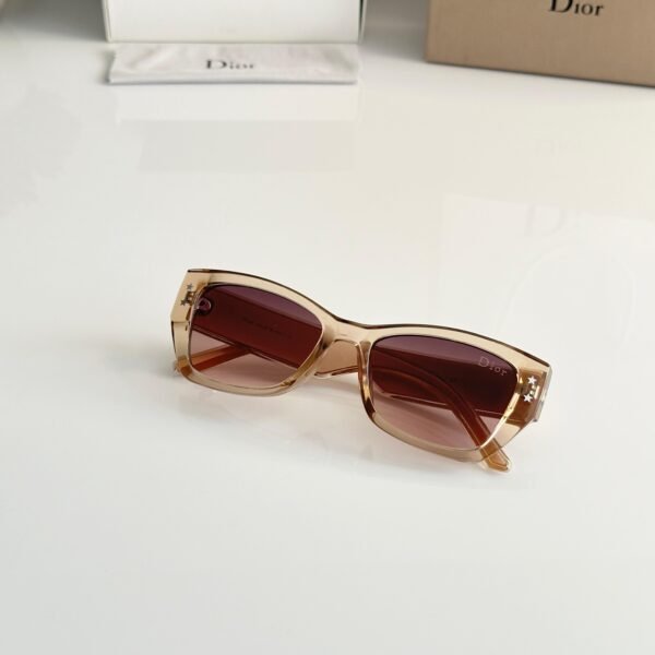 Dior Water Brown Women’s Sunglasses