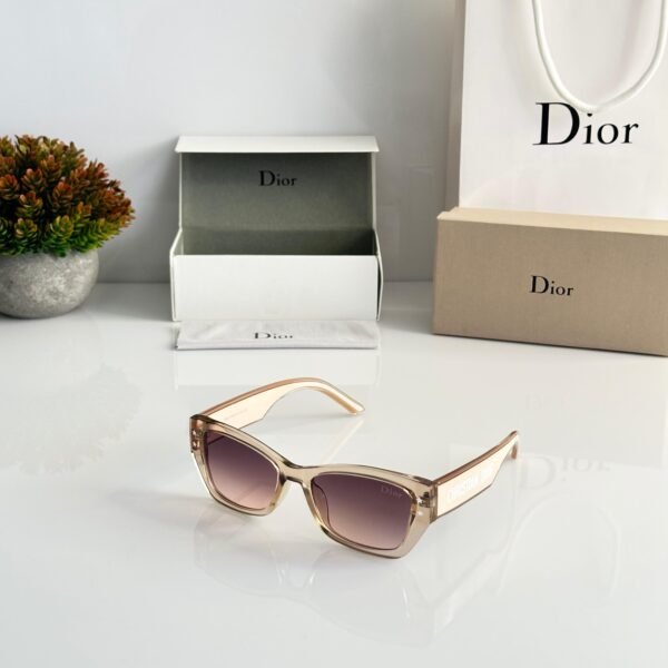 Dior Water Brown Women’s Sunglasses
