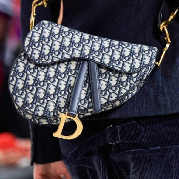 Dior Saddle Bag-Blue Dior Oblique embroidery